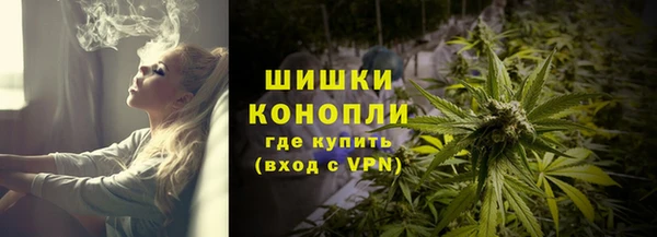 тгк Касимов