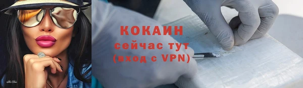 тгк Касимов