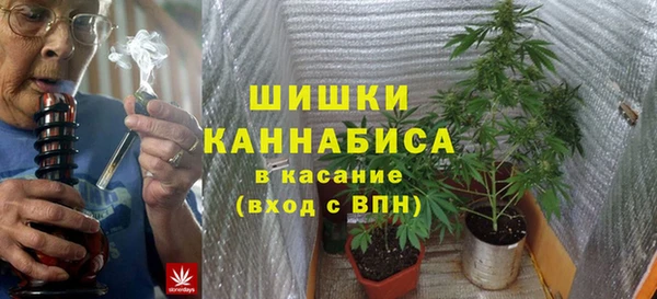 тгк Касимов