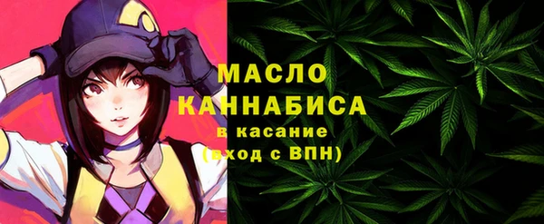 тгк Касимов