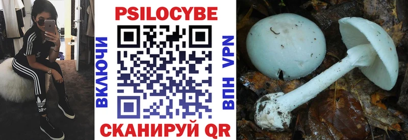 Купить  Поронайск  Галлюциногенные грибы ЛСД 
